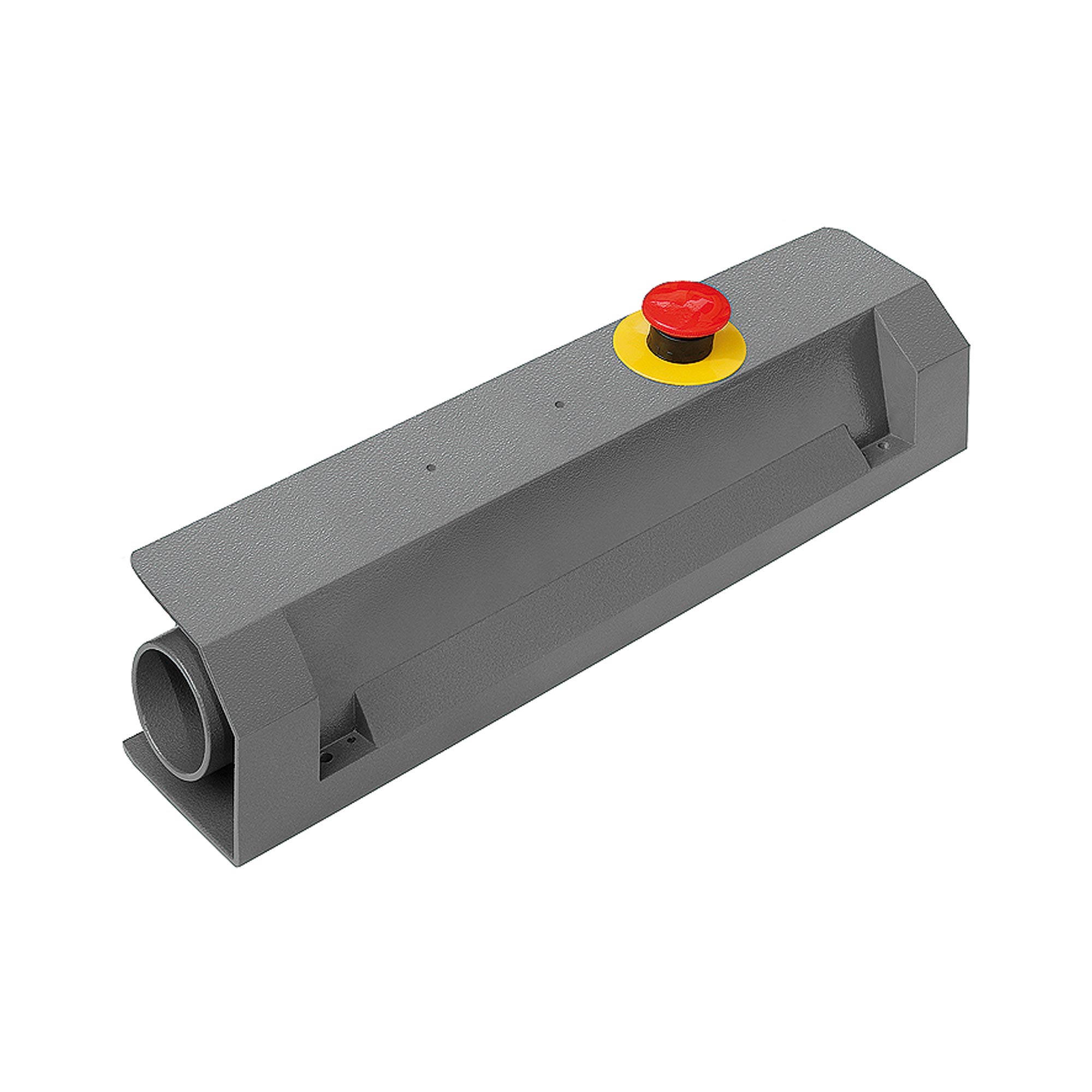 Two-handed safety console, complete, Quick-connect plug hose 4 mm - Riegler 106711