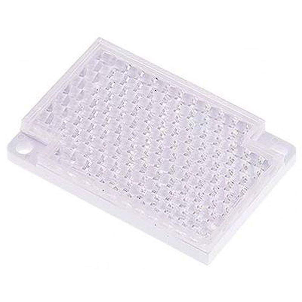 Reflector, rectangular, 60 x 41mm, 2 boreholes Ø 3.6 (diagonal 52 x 34)