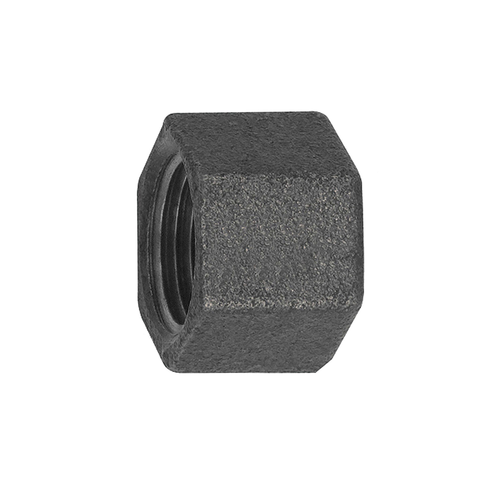 Cap 300, IT, Rp 1/4 black malleable iron fitting - Riegler K1843