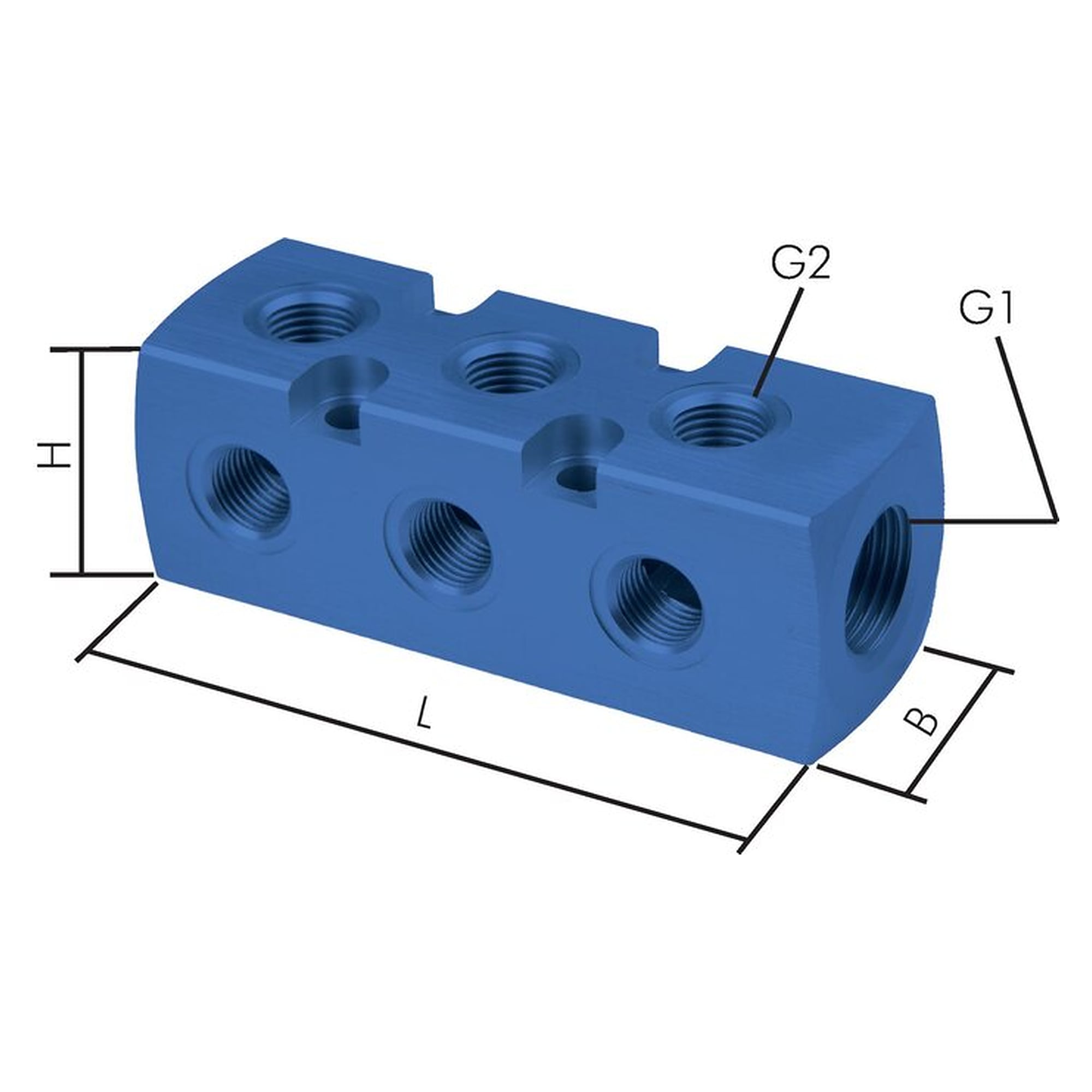 Verteilerblock, Gewinde G 1/2" auf zweites Gewinde 9x G 1/4", Länge 100 mm, Aluminium