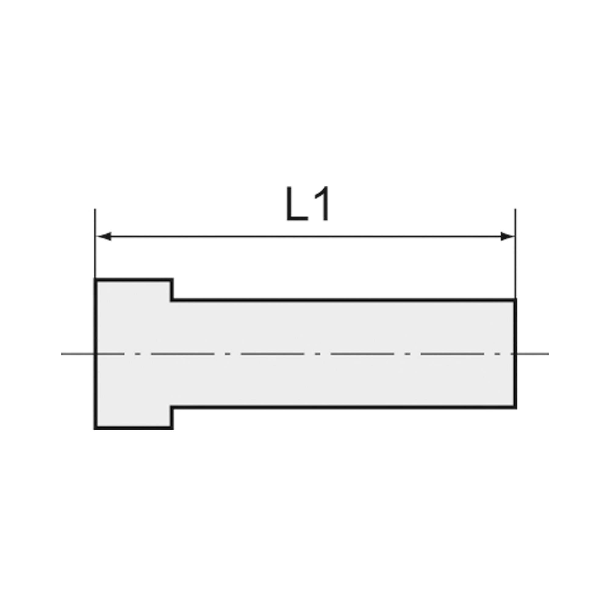 Verschlussstecker »click-clock«, Stecknippel 12 mm, MS vern. - Riegler 108796