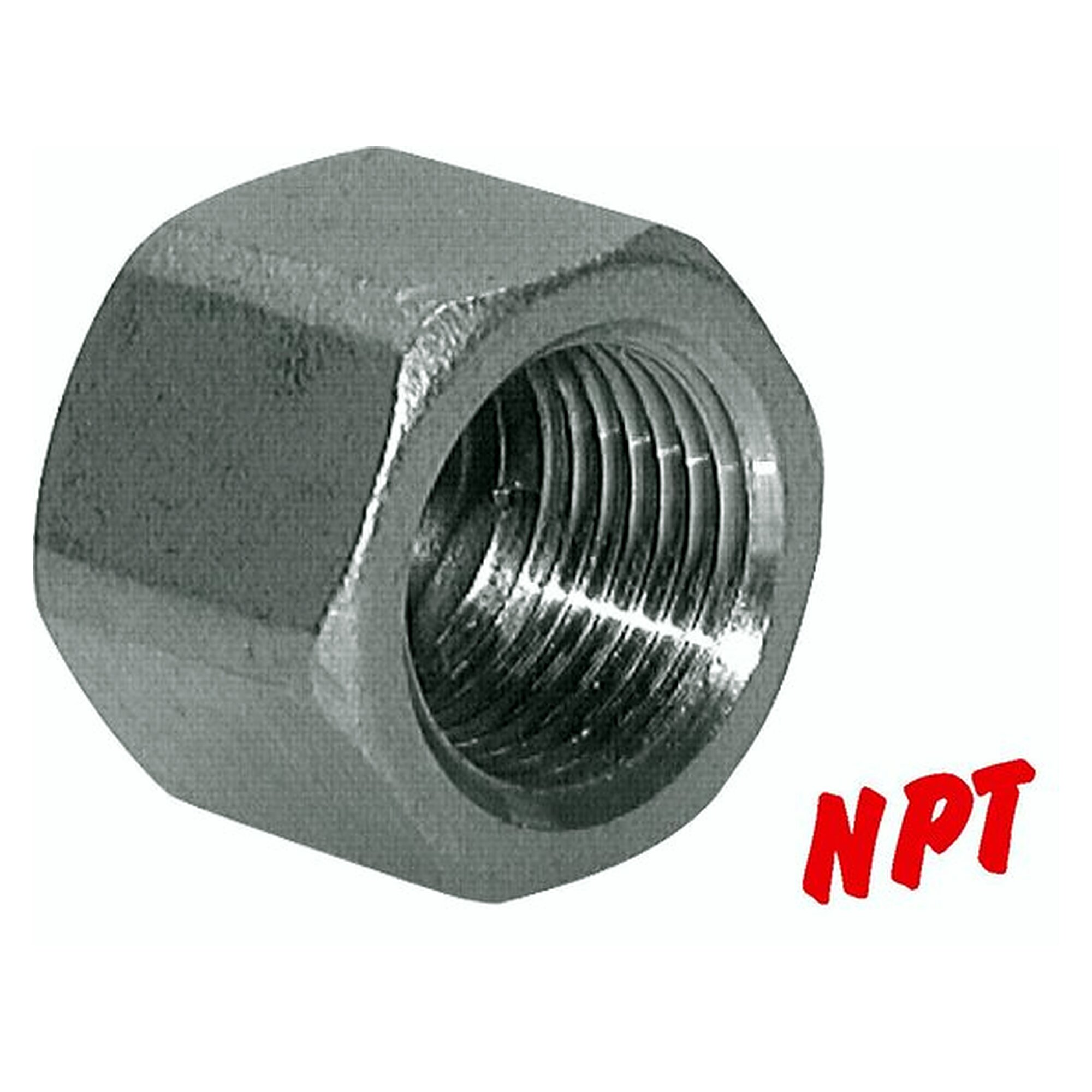 Sealing cap, thread NPT 1-1/2", stainless steel 1.4408, for closing ports