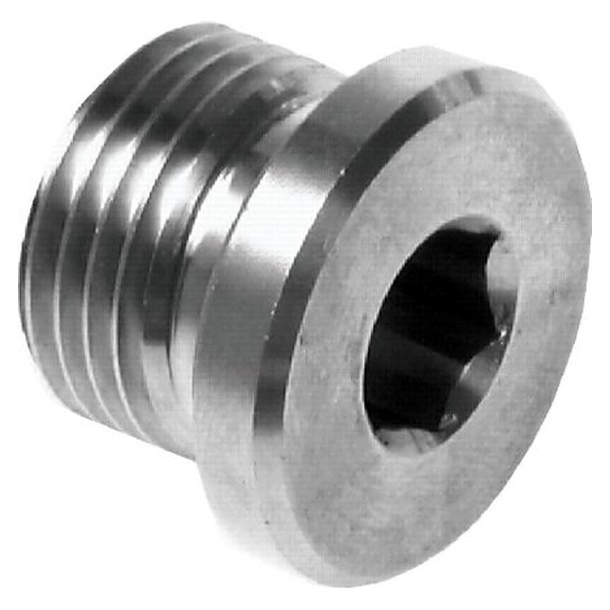 Hochdruck-Verschlussstopfen, mit Innensechskant, Gewinde M 20x1,5, PN 400 bar, Edelstahl 1.4571