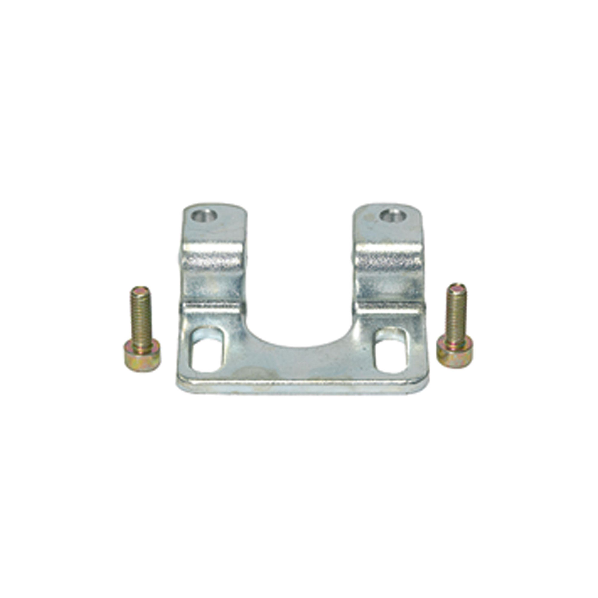 Mounting bracket with 2 screws - Riegler 101166